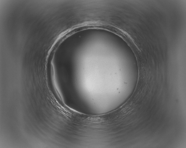 X0000051261168200507011711