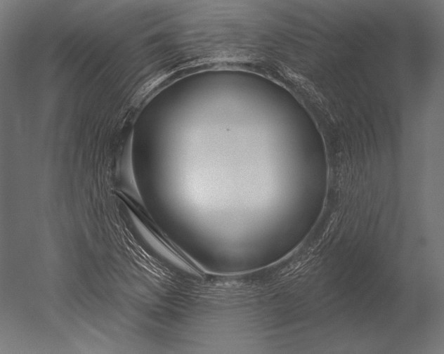X0000051261169200507011711