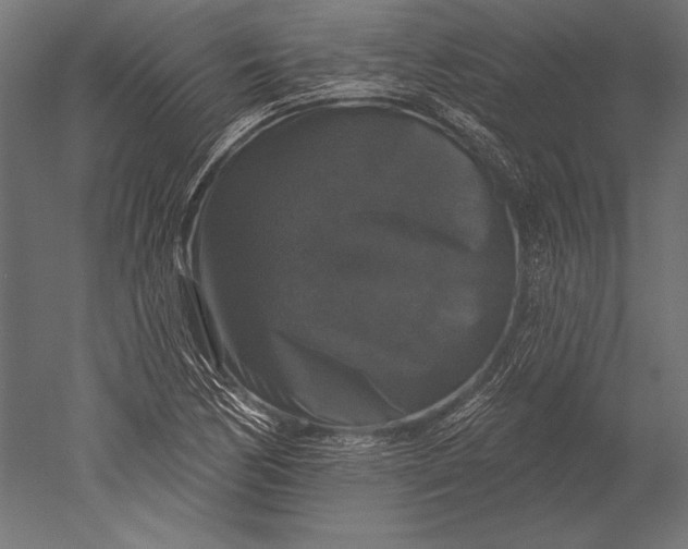X0000051261170200507011711