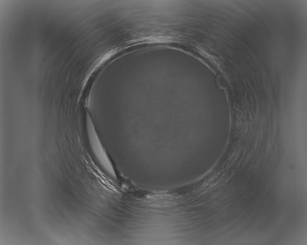 X0000051261171200507011711