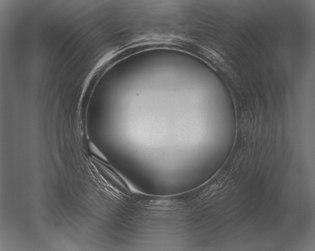 X0000051261172200507011711