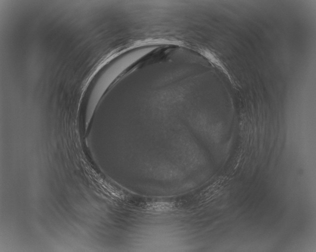 X0000051261173200507011711