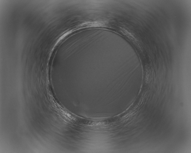X0000051261174200507011711