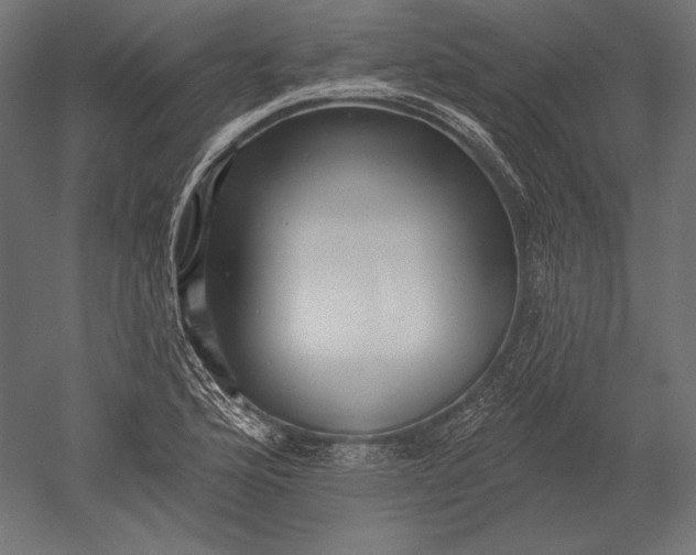 X0000051261176200507011711