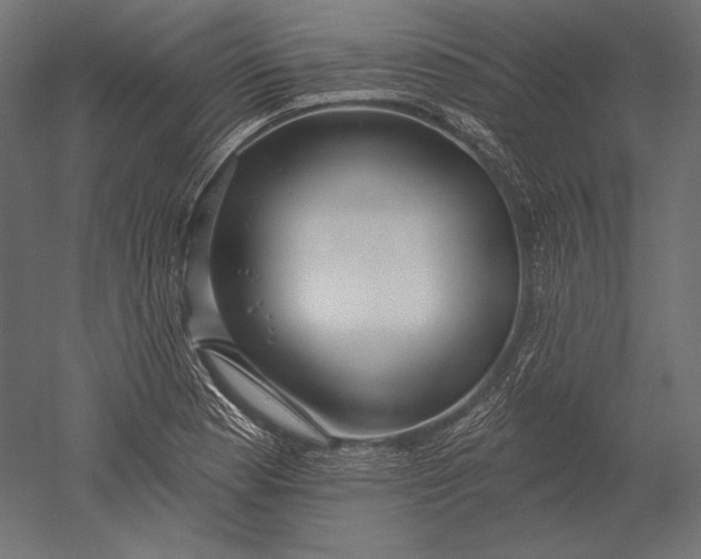X0000051261177200507011711