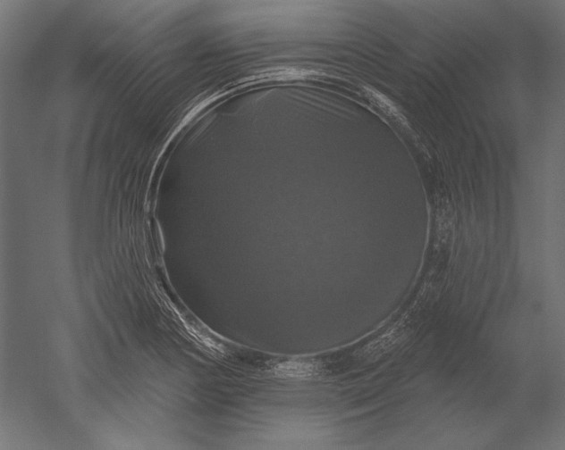 X0000051261178200507011711
