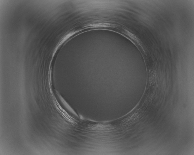 X0000051261179200507011710