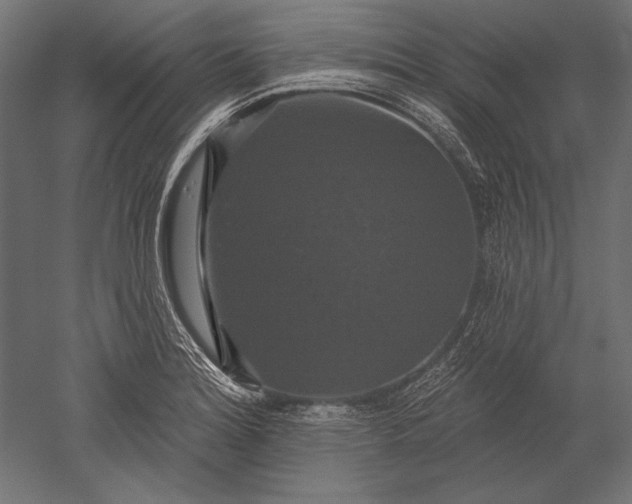 X0000051261180200507011710