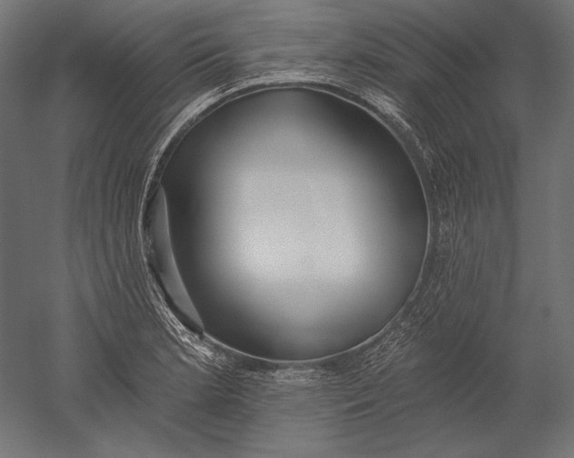 X0000051261181200507011710