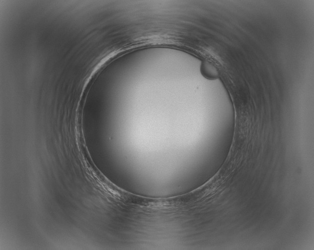 X0000051261182200507011710