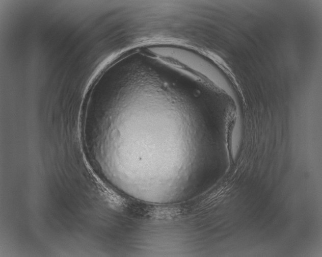 X0000051261183200507011710