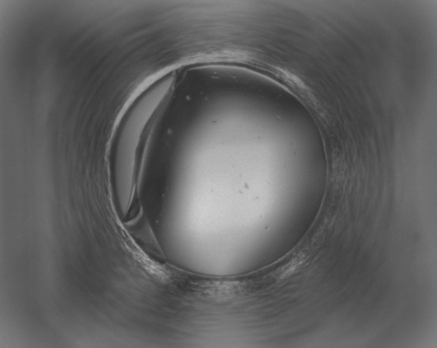 X0000051261184200507011710