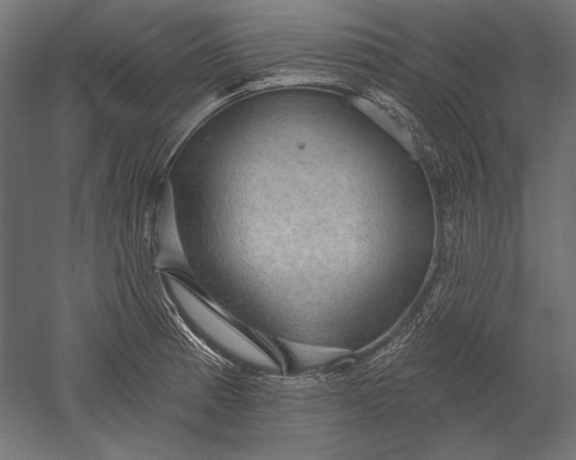 X0000051261185200507011710