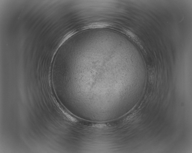 X0000051261186200507011710