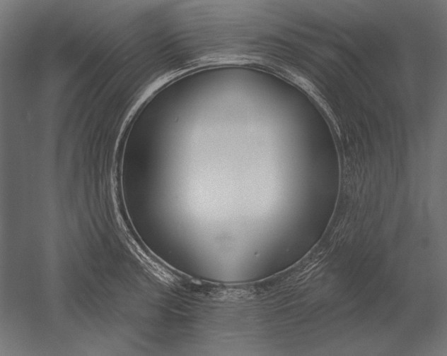X0000051261187200507011710