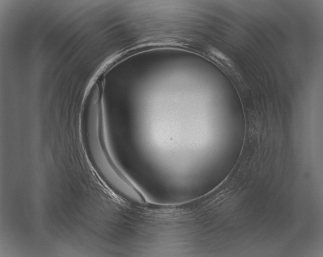 X0000051261188200507011710