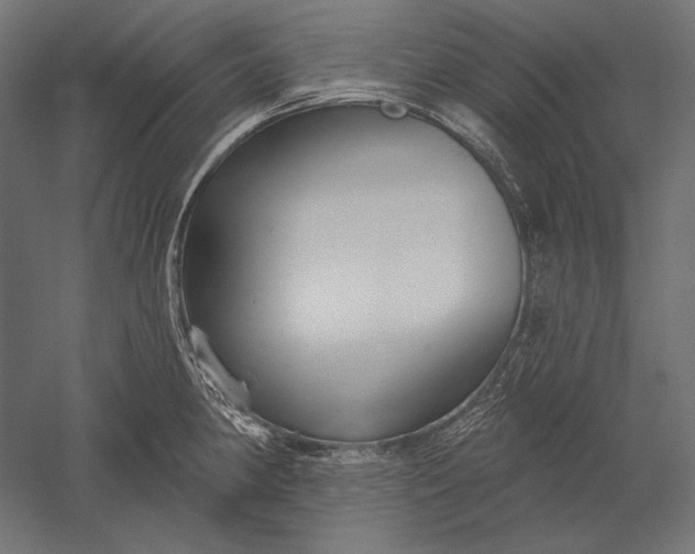 X0000051261190200507011710