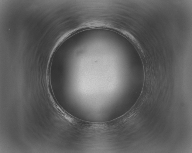 X0000051261191200507011710