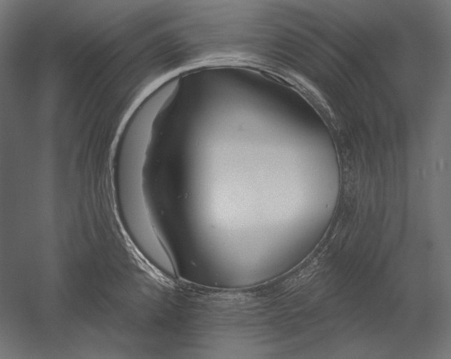 X0000051261192200507011710