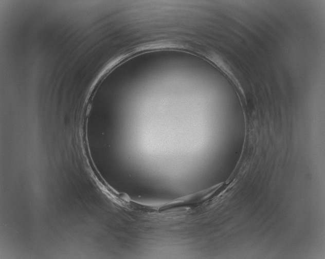 X0000051261197200507011710