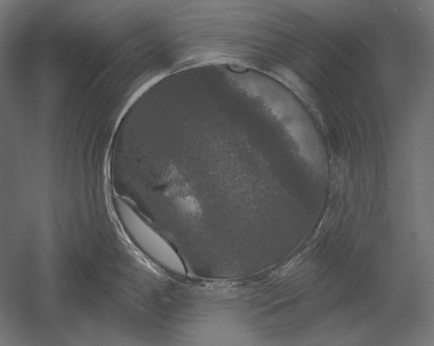 X0000051261198200507011710