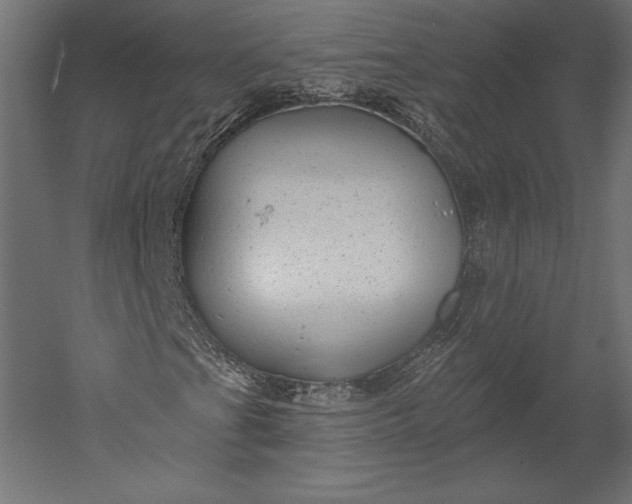 X0000051261201200507011709