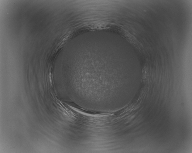 X0000051261202200507011709