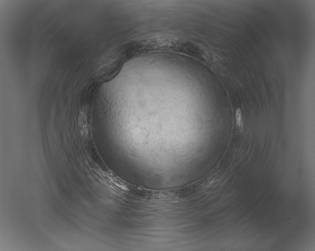 X0000051261203200507011709