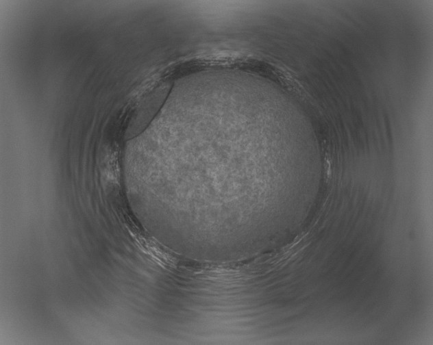 X0000051261204200507011709