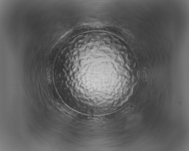X0000051261205200507011709