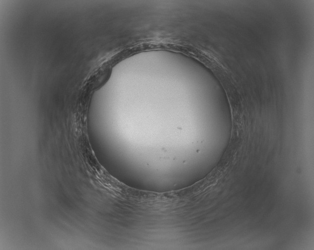 X0000051261207200507011709