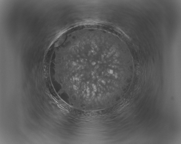 X0000051261208200507011709