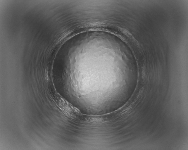 X0000051261209200507011709