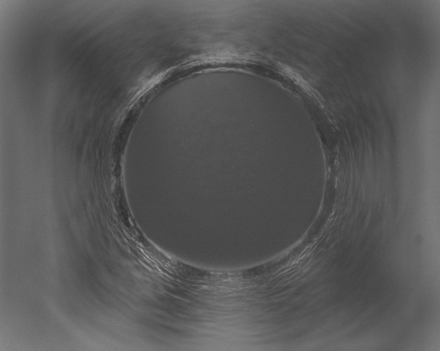 X0000051261213200507011710
