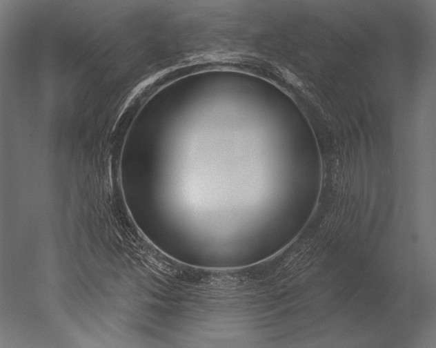 X0000051261214200507011710