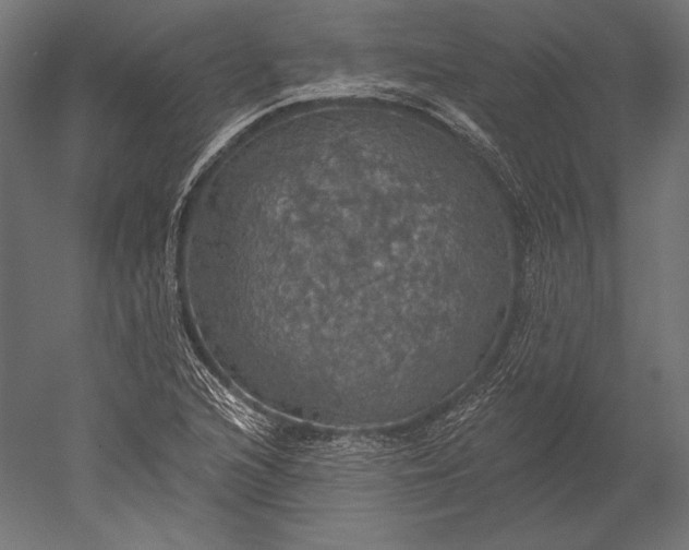 X0000051261216200507011710