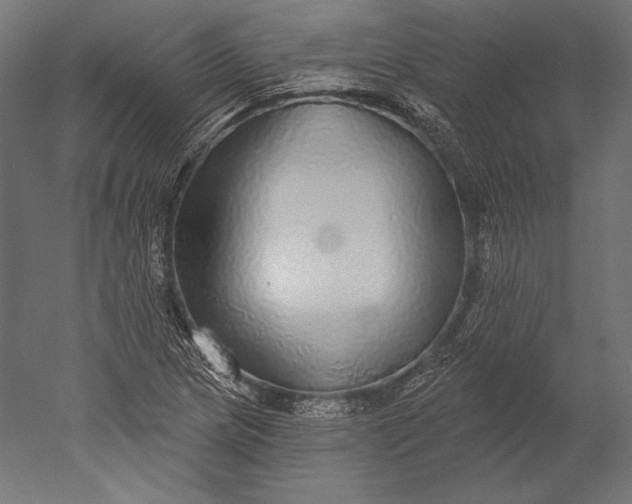 X0000051261217200507011710