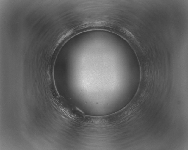 X0000051261218200507011710
