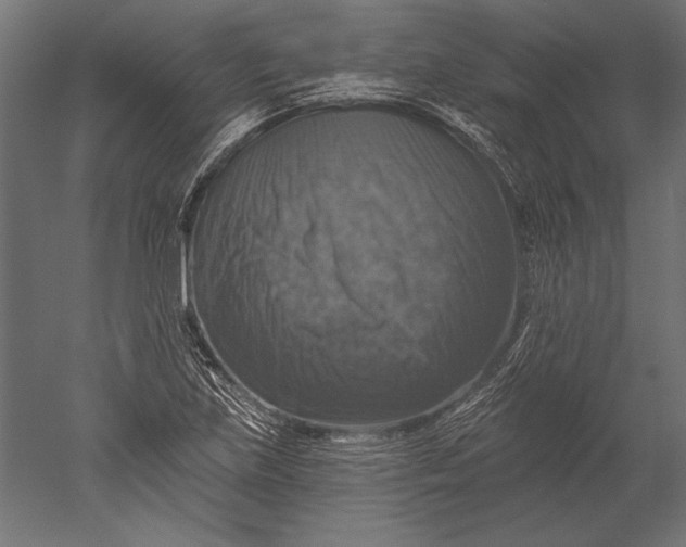 X0000051261219200507011710
