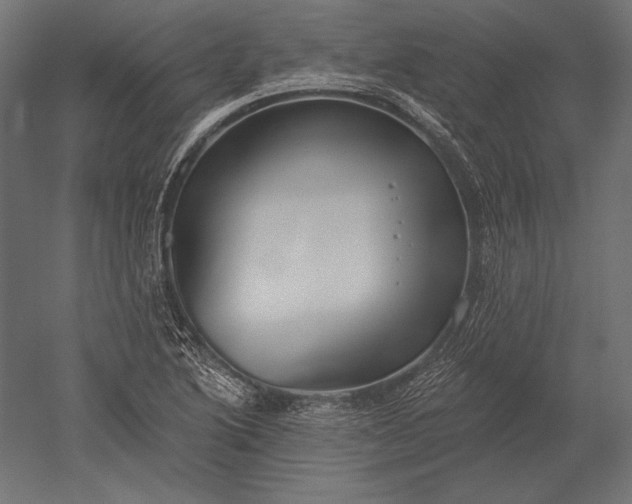 X0000051261222200507011710