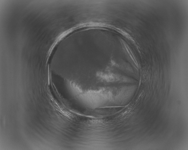 X0000051261223200507011710