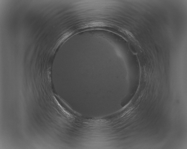 X0000051261225200507011710