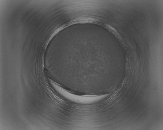 X0000051261226200507011710