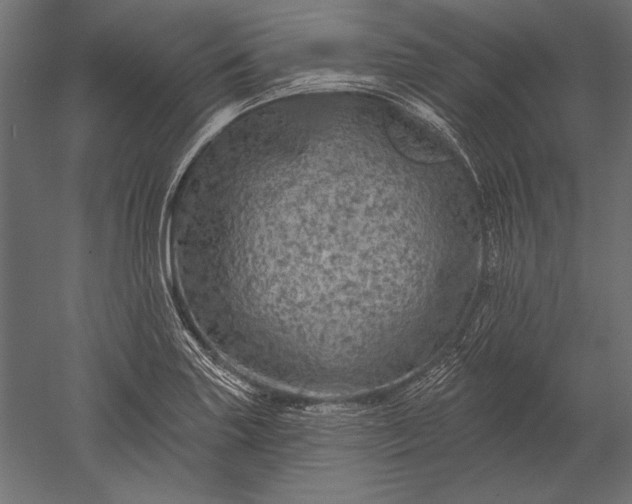 X0000051261227200507011710