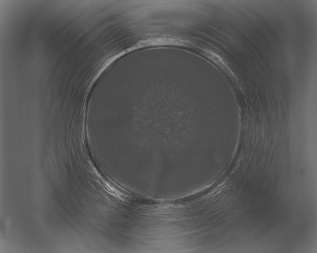X0000051261228200507011710