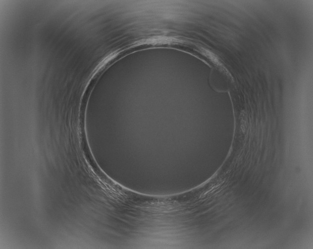 X0000051261229200507011710