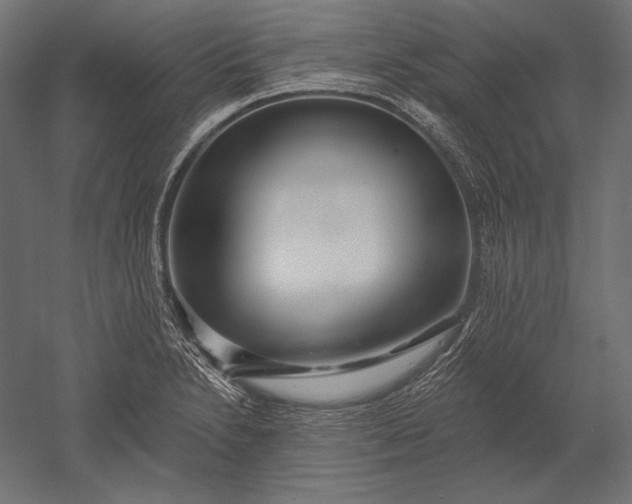 X0000051261230200507011710