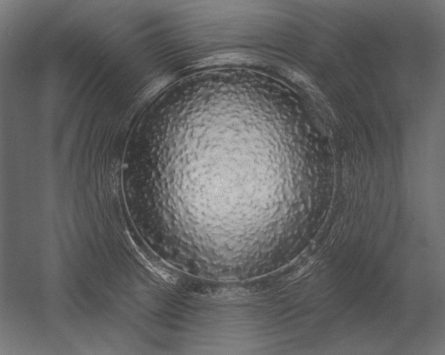 X0000051261233200507011710