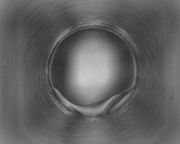 X0000051261234200507011710