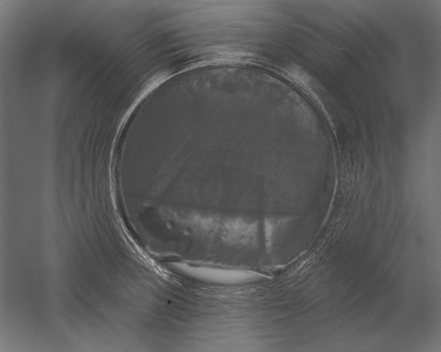 X0000051261235200507011710